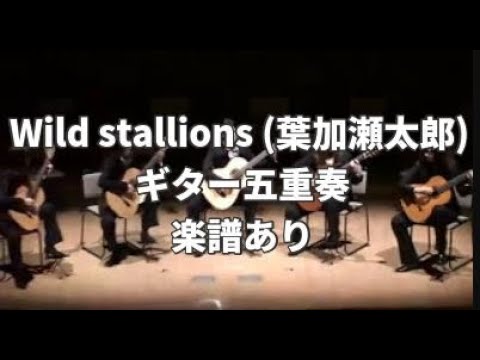 【ギターアンサンブル】④ワイルドスタリオンズ　Wild stallions　葉加瀬太郎 【Guitar Ensemble】